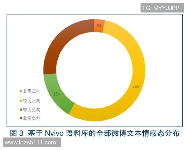 全球足球明星影响力与公众认知的深度探讨与分析