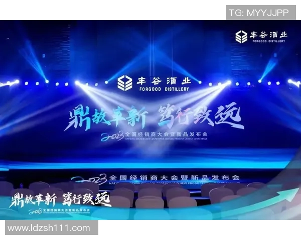 南京网球队的转型升级之路：从传统到创新的全面革新探索