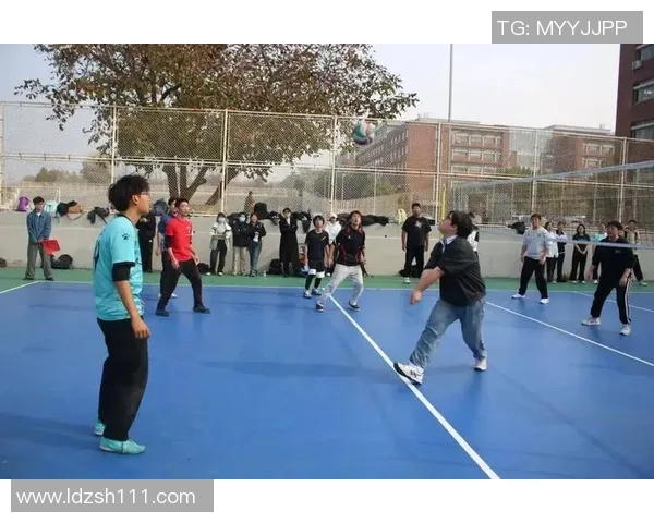 杭州排球队阵地战革新探索新战术提升竞技水平与团队协作能力 杭州排球队阵地战革新探索新战术提升竞技水平与团队协作能力