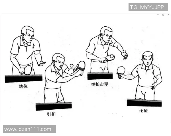 武汉乒乓球队总决赛战术分析与表现评估探讨