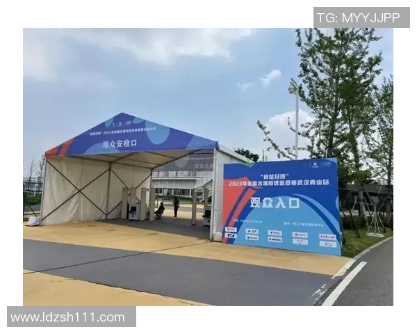 武汉排球队运营策略深度分析与发展前景探讨