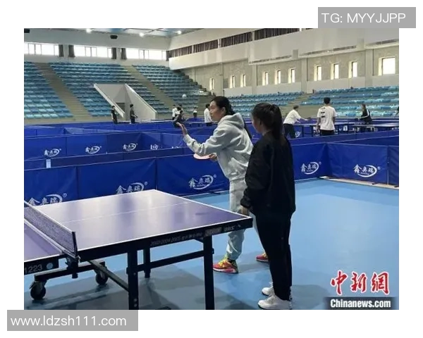 南京乒乓球队快攻革新之路探索与实践的深度剖析与展望